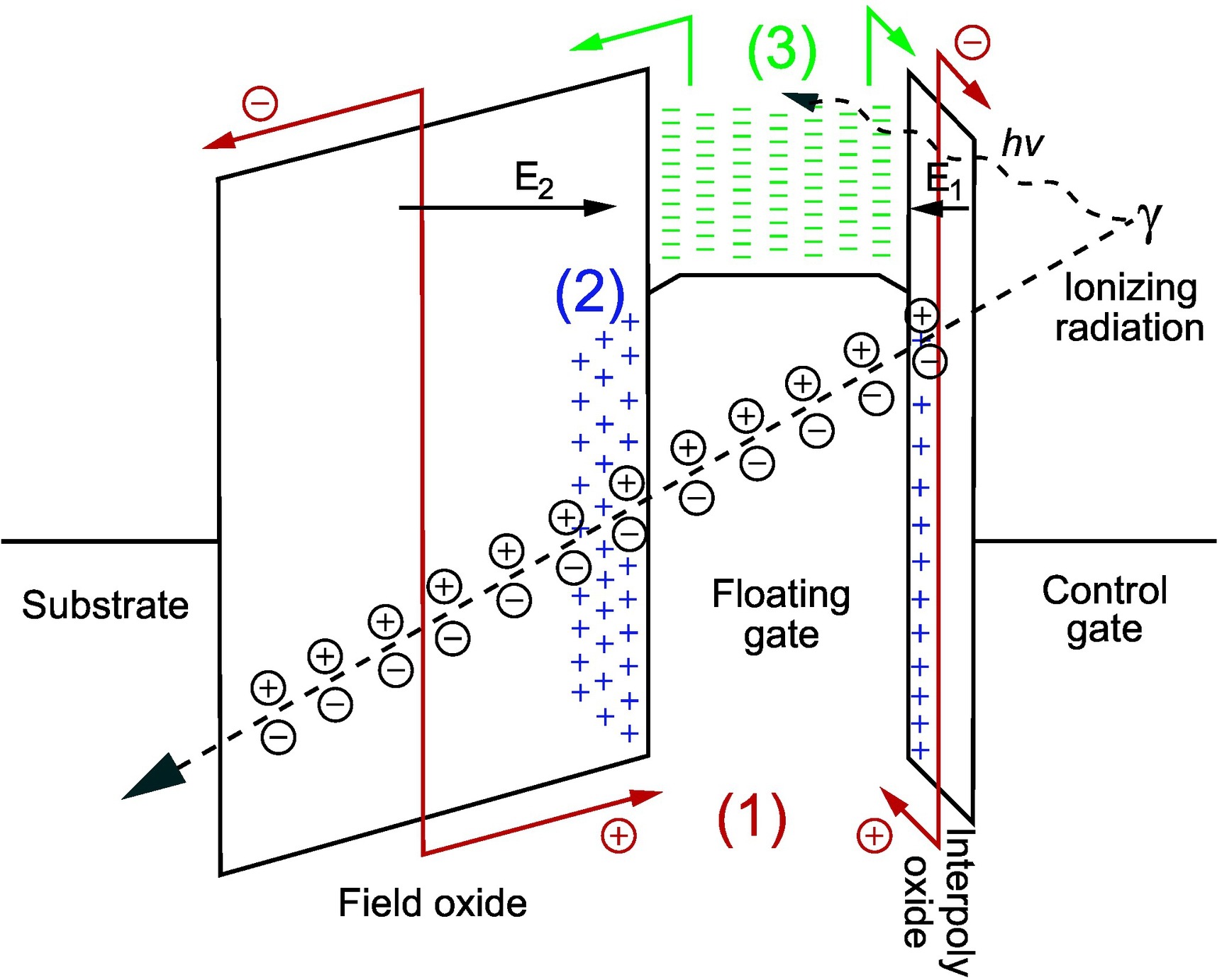Two papers accepted for publication